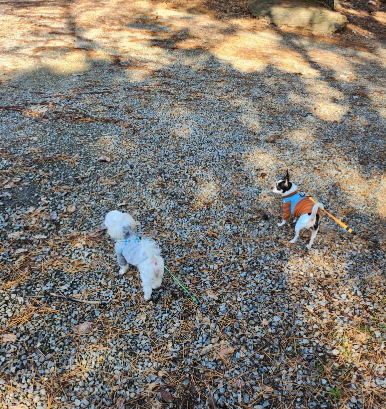 산으로간니모 이미지