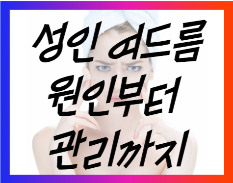 성인 여드름 원인부터 관리까지
