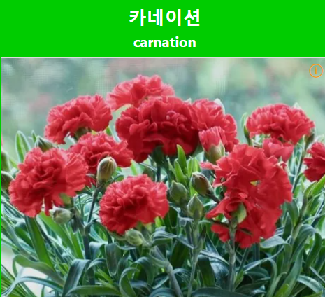 연진화분 이미지