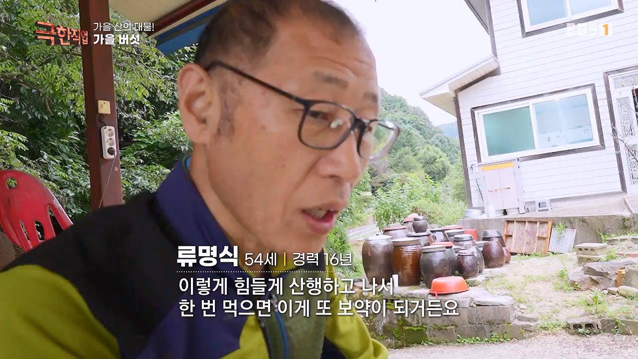 TV - 전 국민의 평생학교 EBS가을 산의 대물! 석청과 버섯.mp4_20230916_171701.052.jpg