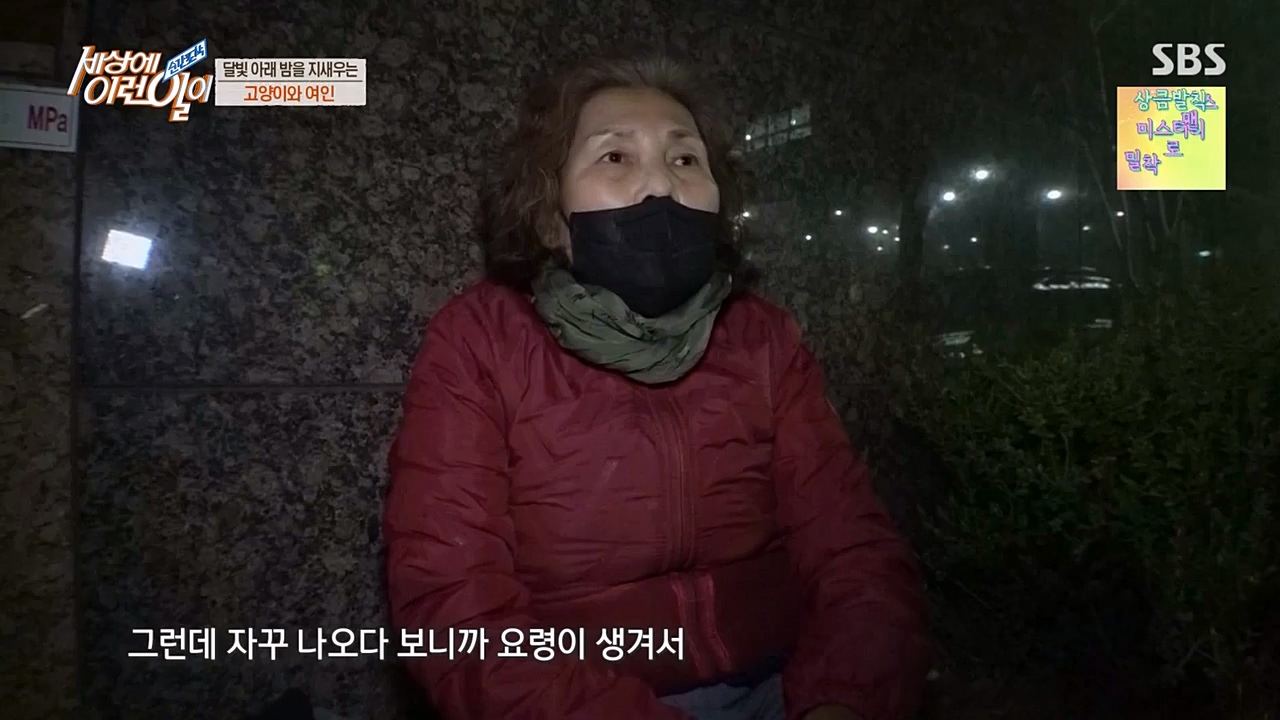 순간포착 세상에 이런일이.E1223.230329p-NEXT.mp4_20230329_192659.947.jpg