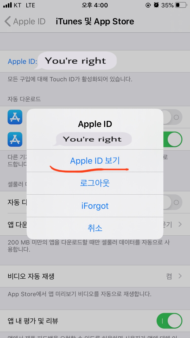 Apple ID 보기