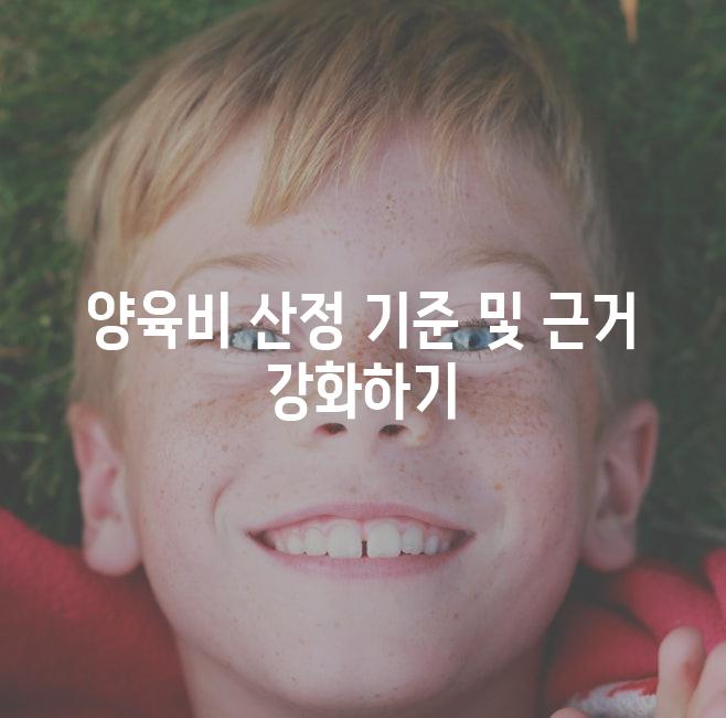 양육비 산정 기준 및 근거 강화하기