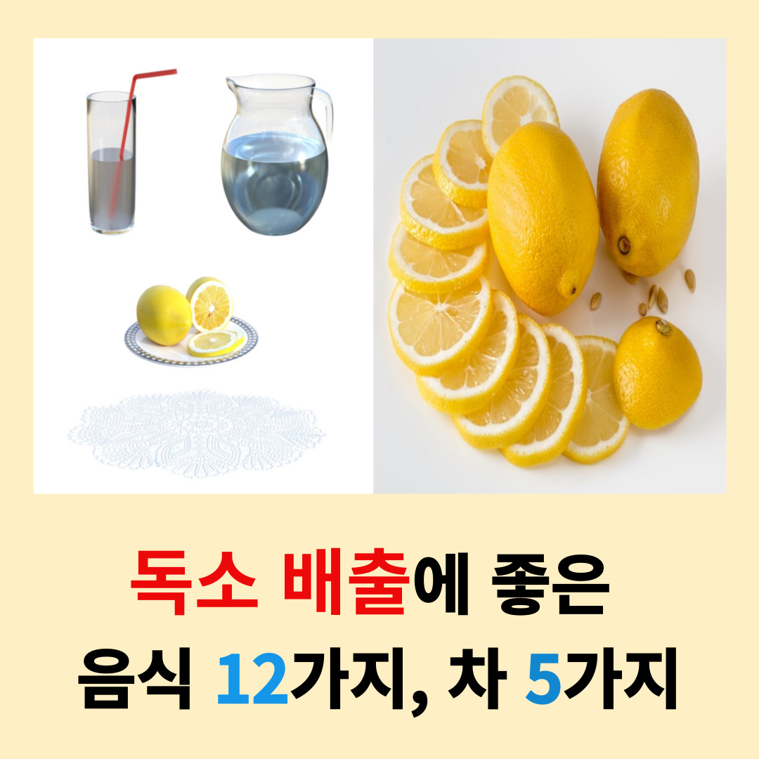 독소-배출에-좋은-음식-12가지-차5가지