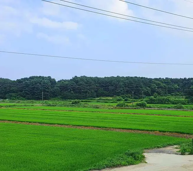 논스페이스