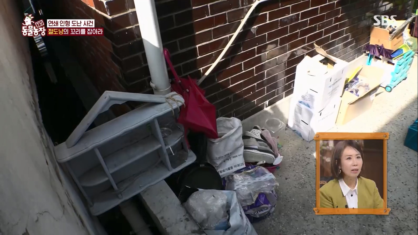 TV 동물농장.E1127.230702p.H264-F1RST.mp4_20230704_212706.200.jpg