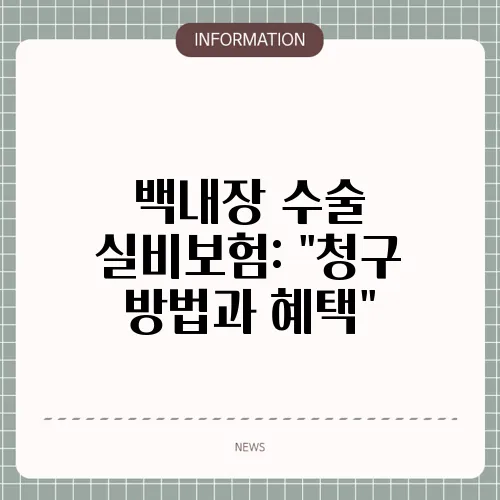 백내장 수술 실비보험: 
