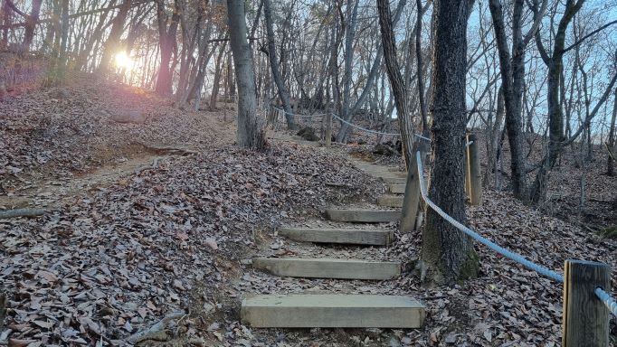 이어지는 침목 계단길&#44; 숲속 나무 사이로 비치는 오후의 햇살&#44; 주변엔 수북한 갈잎&#44;