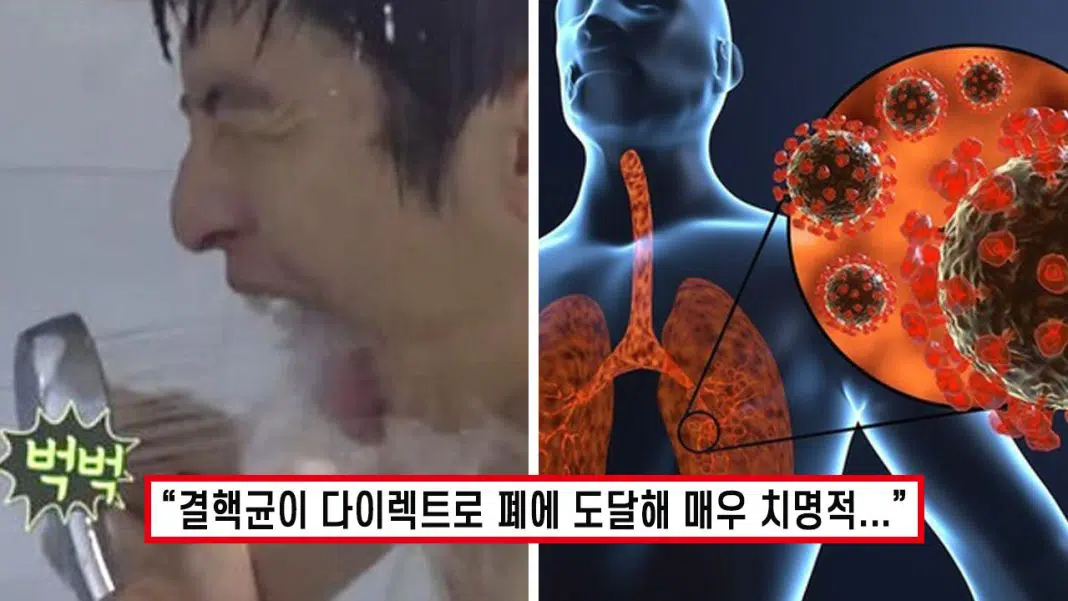  샤워기 헤드 청소 필수,,, 결핵균 조심