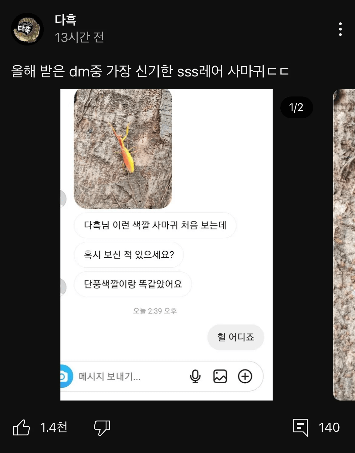 초sss급 레어한 사마귀 제보를 받은 동물유튜버.jpg
