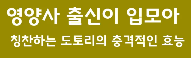 영양사 출신이 입모아 칭찬하는 도토리의 충격적인 효능