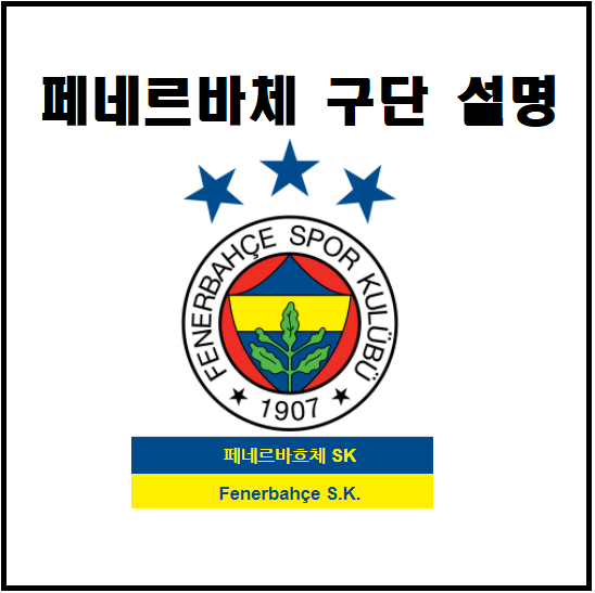 페네르바체 어떤 구단인가 구단주 재산 한국 김민재 선수