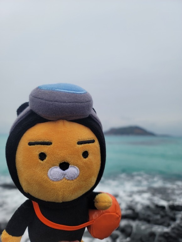  해녀 라이언과 제주도 여행 #제주 #1월 #갬성