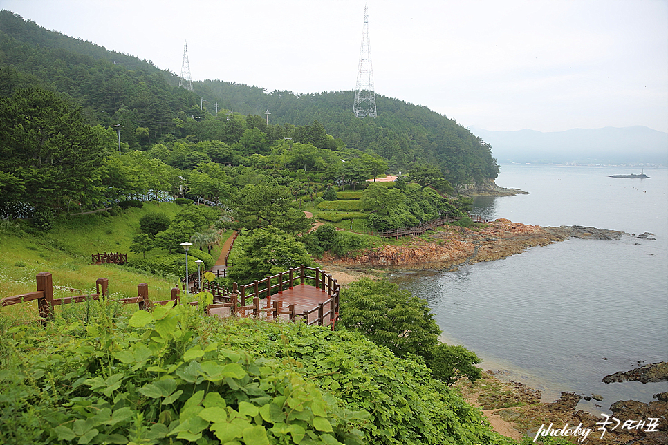 경남 드라이브코스 통영 여행 수국 명소 12