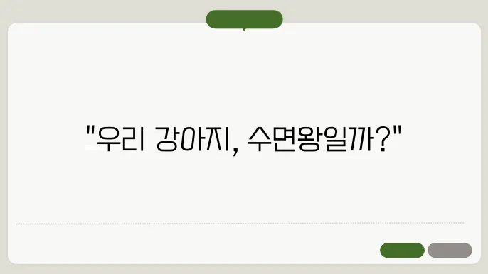 강아지 수면시간 평균 비교 우리 강아지 많이 자는 걸까?