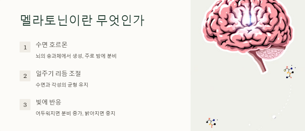 멜라토닌