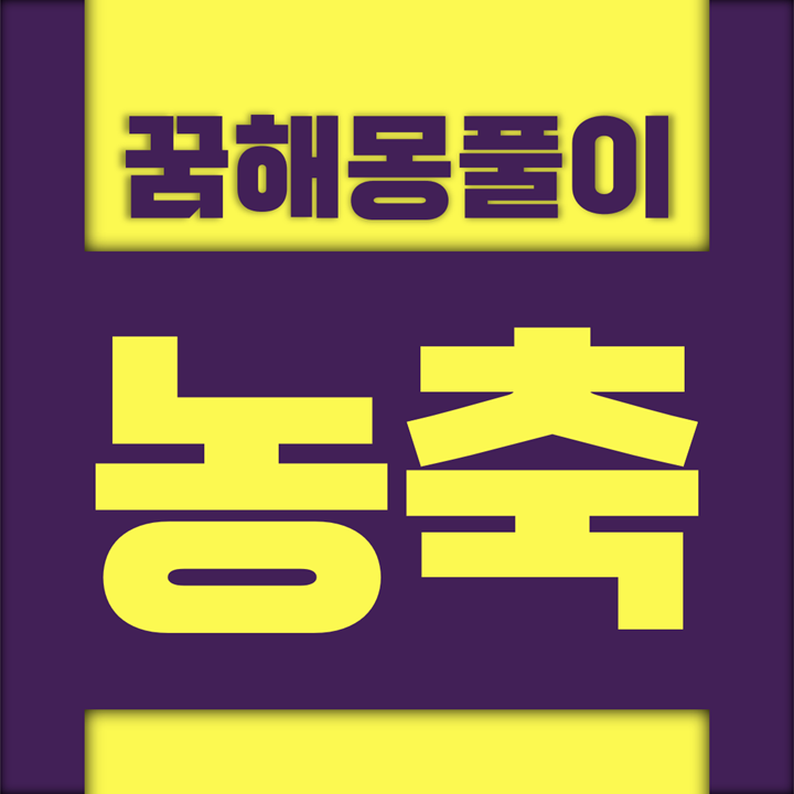  [꿈해몽풀이] 농축 꿈해몽 모음