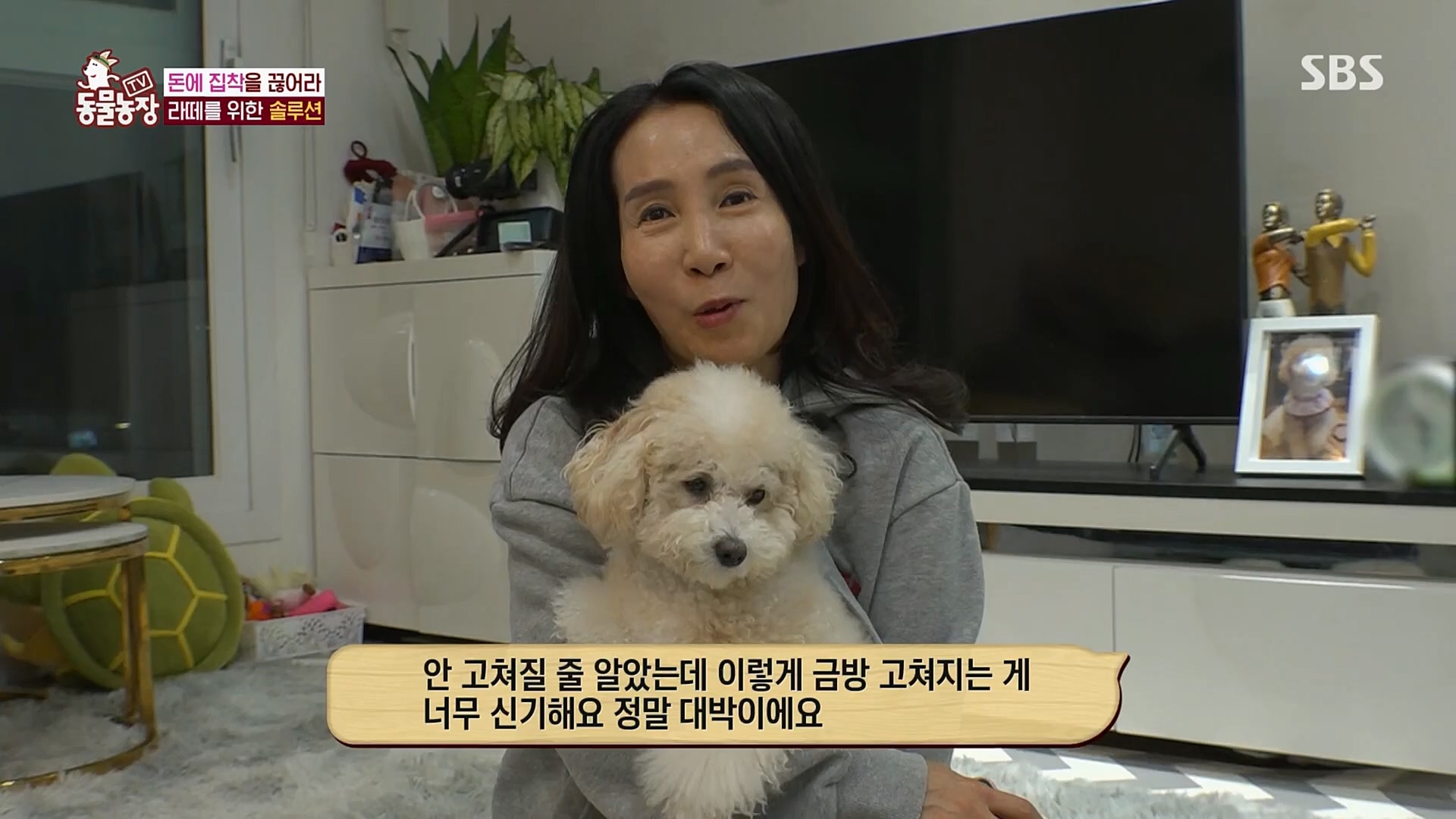 TV 동물농장.E1107.230205p.H264-F1RST.mp4_20230205_173939.134.jpg