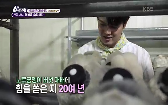 [7612회] 6시 내고향 - KBS7612회] 6시 내고향.ts_20220912_172805.004.jpg