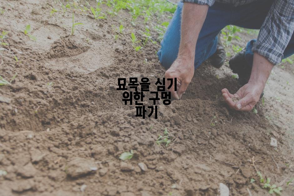 묘목을 심기 위한 구멍 파기