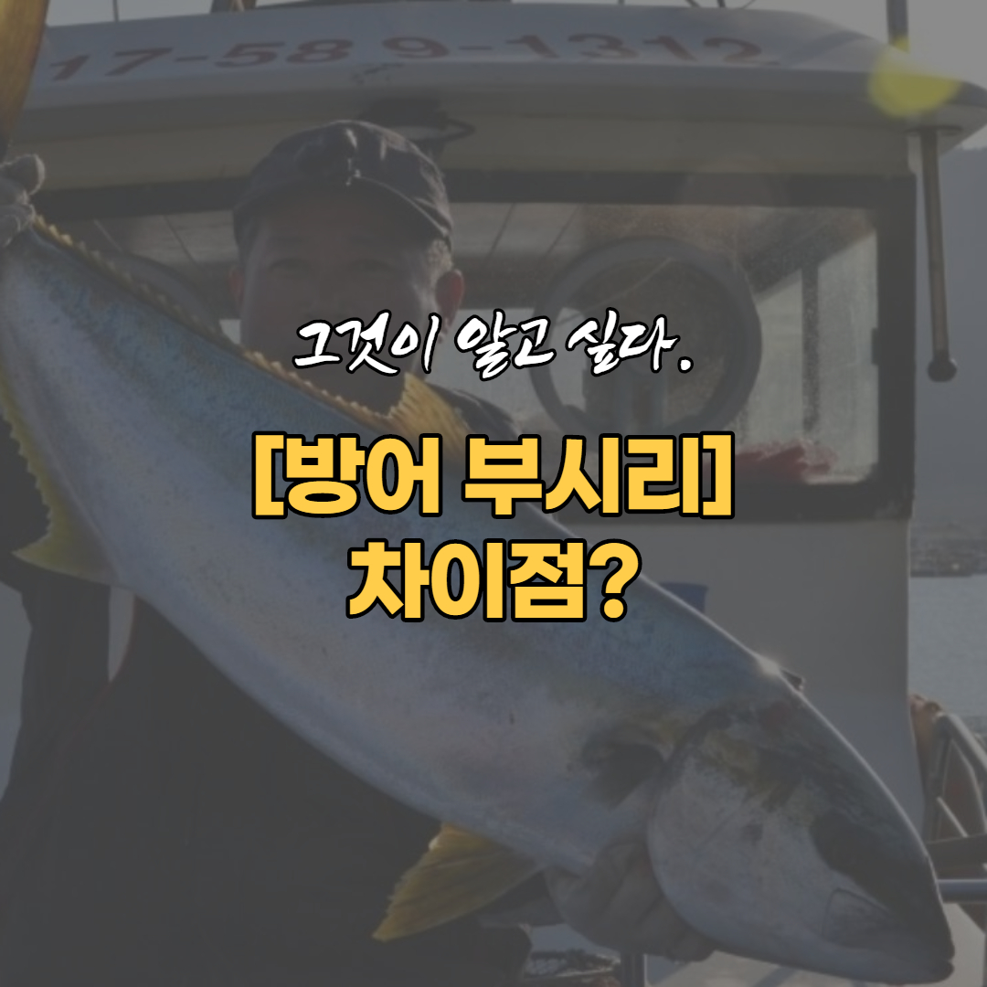 방어 부시리 차이점~