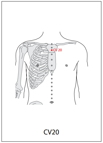 임맥 (CV) > CV20 화개 (華蓋) 1