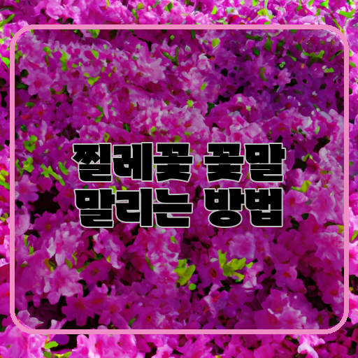  찔레꽃의 아름다움을 영원히 간직하는 방법