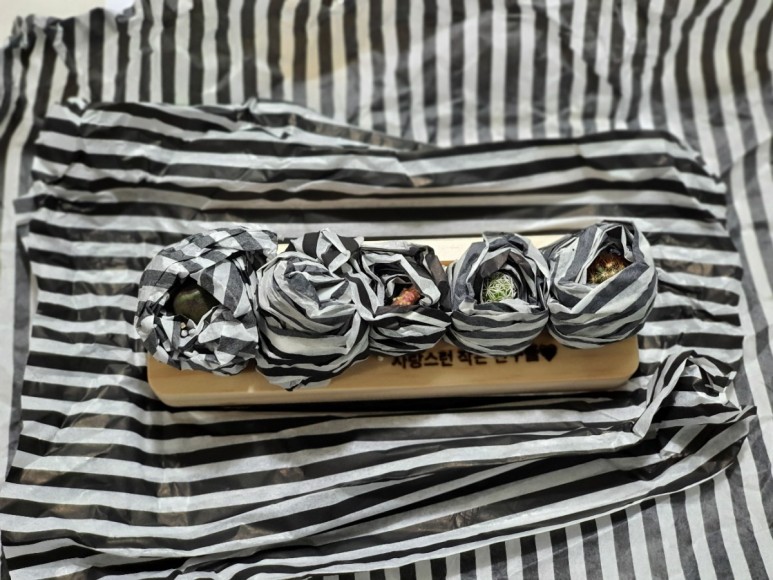 다육이 사이트 반려식물 초미니 4