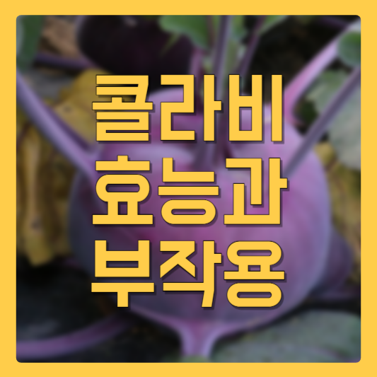 콜라비의 효능과 부작용