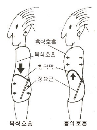 출처(구글이미지)