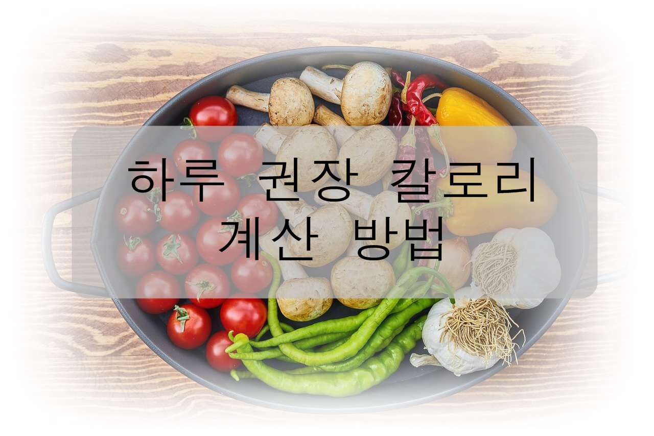 하루 권장 칼로리 계산 방법 (기초대사량&#44; 활동량)