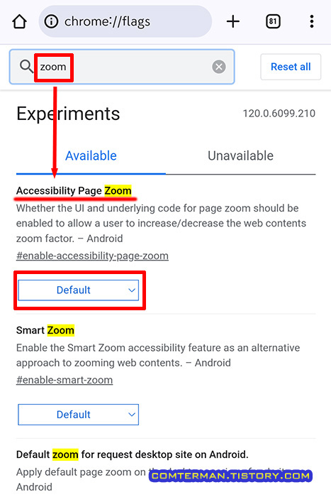 Accessibility Page Zoom