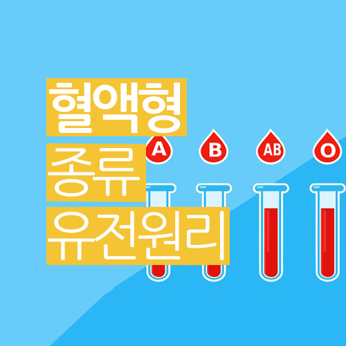  혈액형 종류, 역사, 유전원리를 알아보겠습니다.