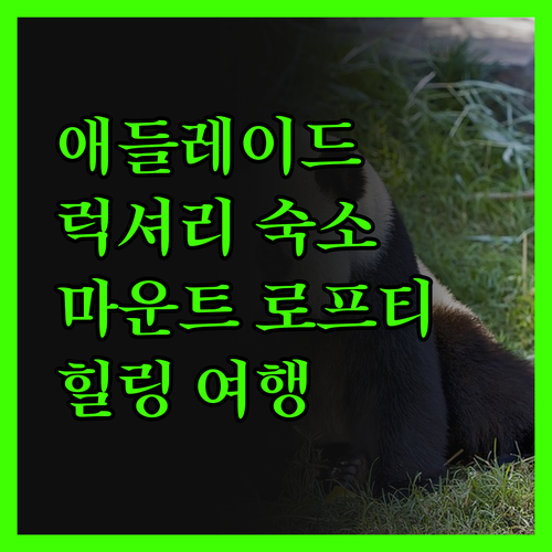 마운트 로프티 하우스 엠갤러리 숙박 