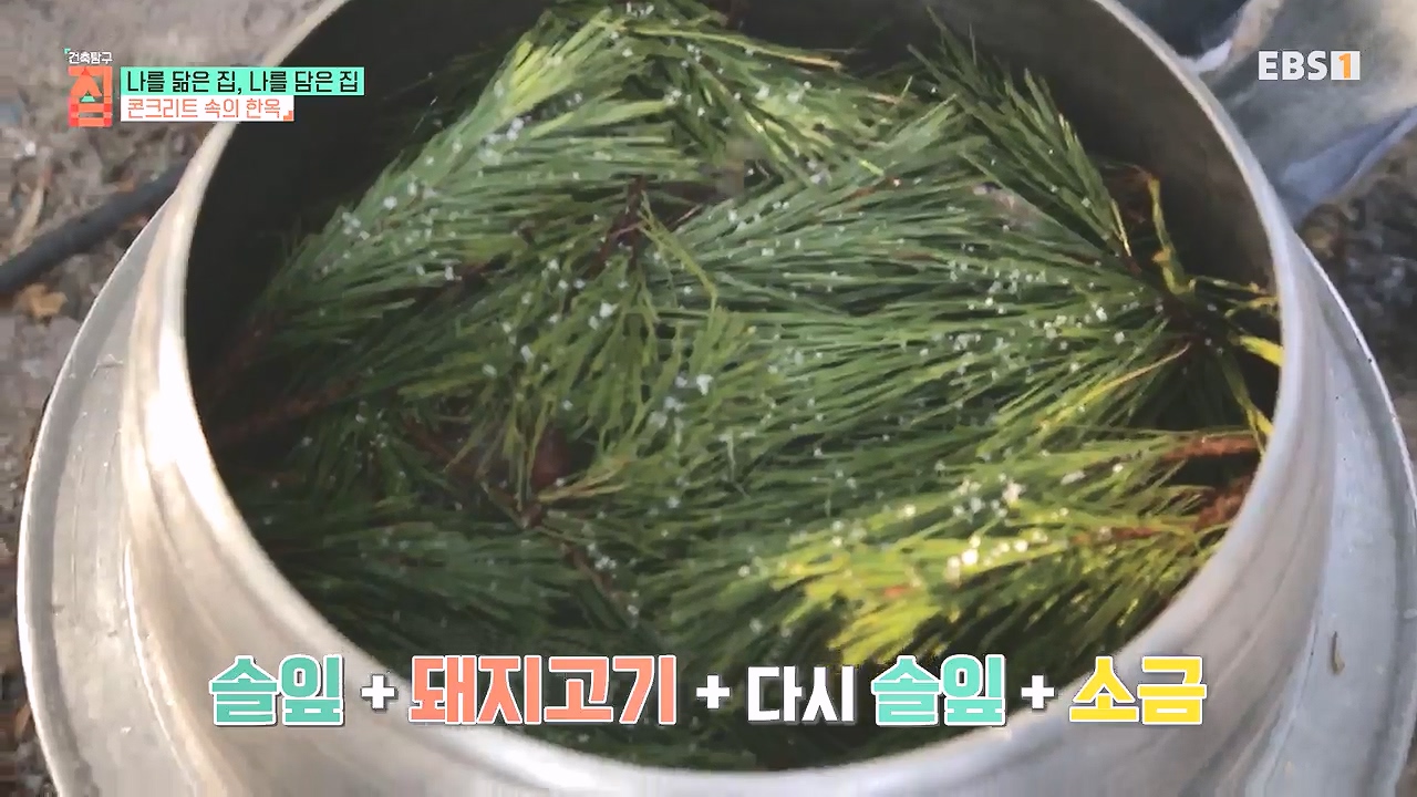 TV - 전 국민의 평생학교 EBS나를 닮은 집, 나를 담은 집.mp4_20240106_170724.356.jpg