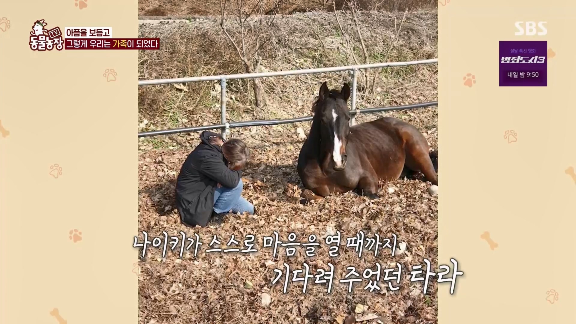 TV 동물농장.E1158.240211p.H264-F1RST.mp4_20240211_192315.155.jpg