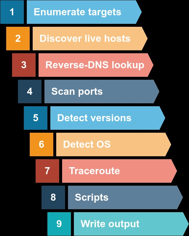 [tryhackme] Nmap Live Host Discovery