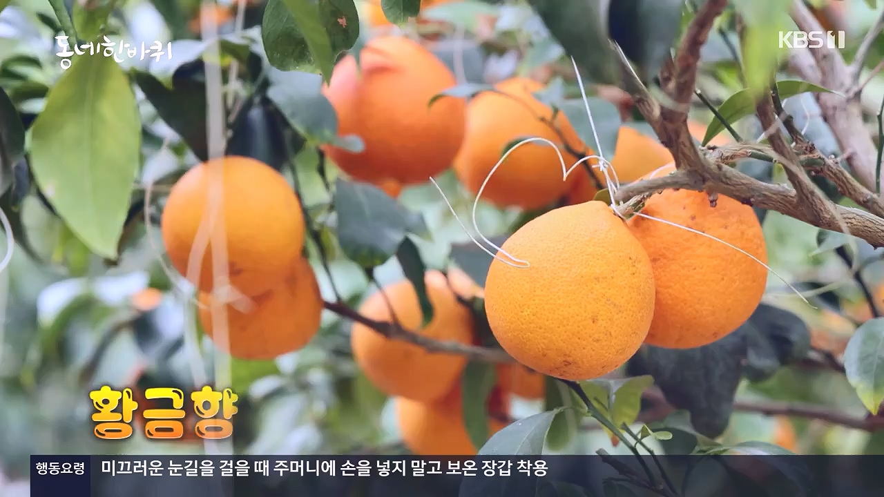 동네 한 바퀴.E252.231217p-NEXT.mp4_20231218_205723.940.jpg