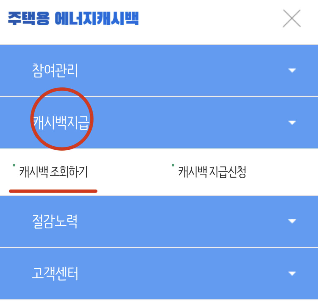 캐시백지급