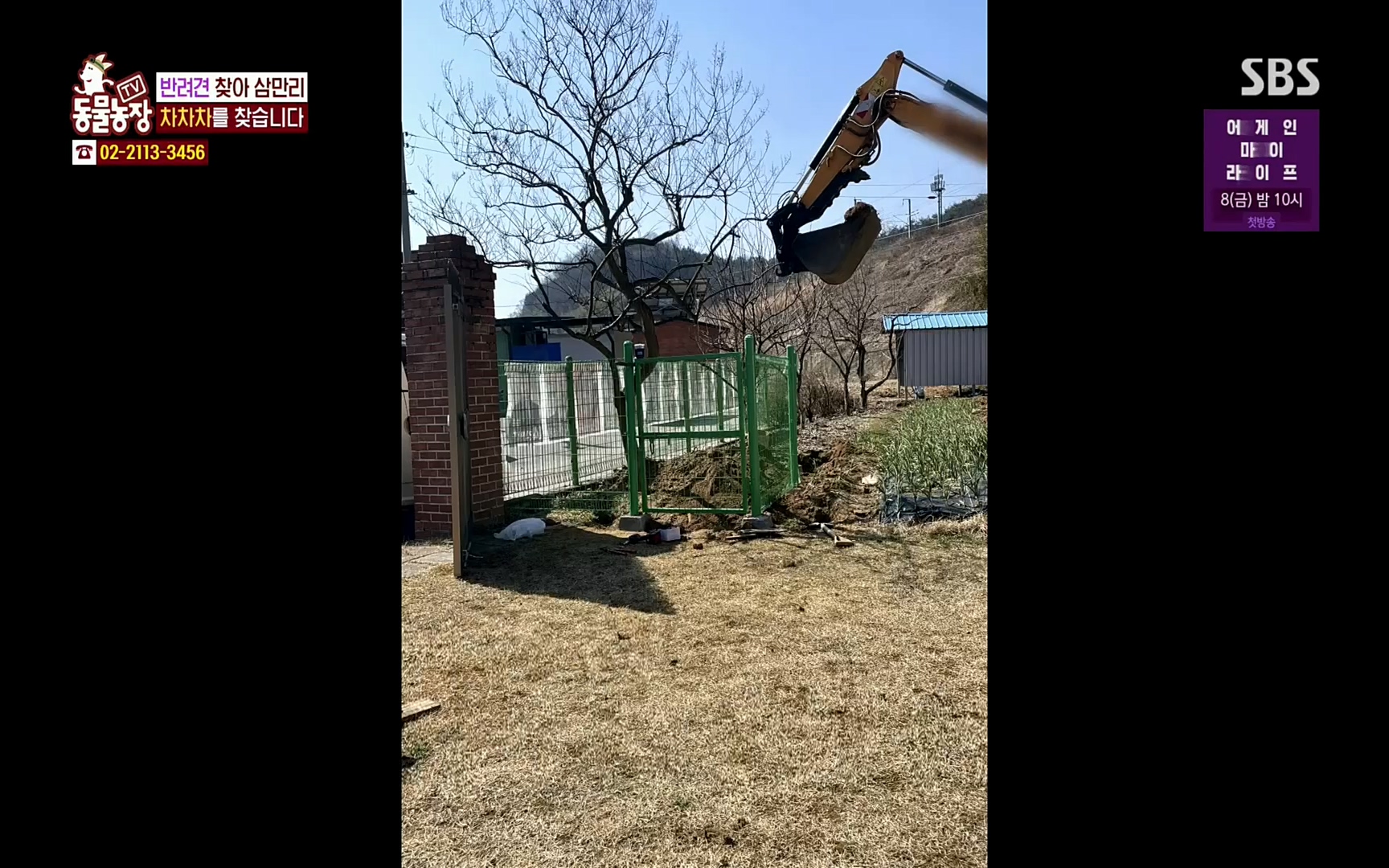 TV 동물농장.E1063.220403p.H264-F1RST.mp4_20220403_175109.119.jpg