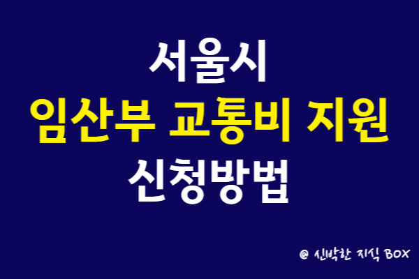 서울시 임산부 교통비 지원 신청방법