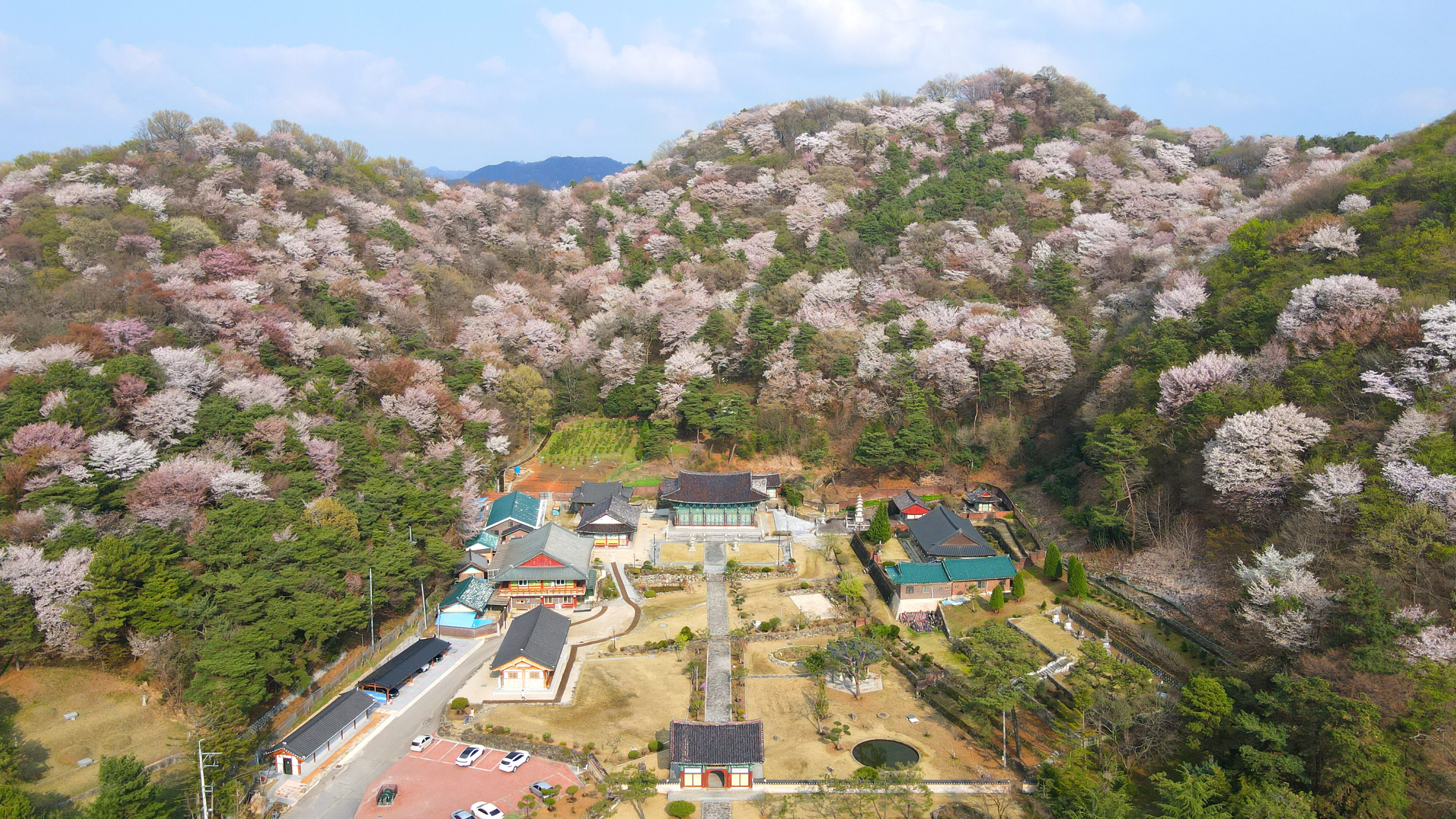 완산 정혜사(完山 定慧寺)_2024.04.드론촬영