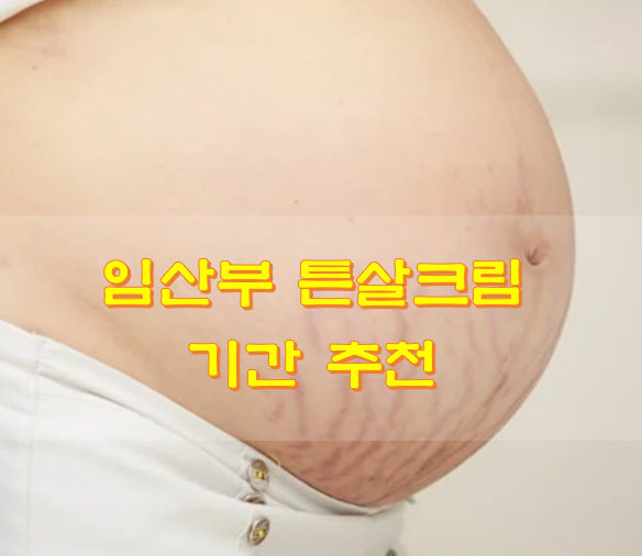  임산부 튼살크림 시기 추천
