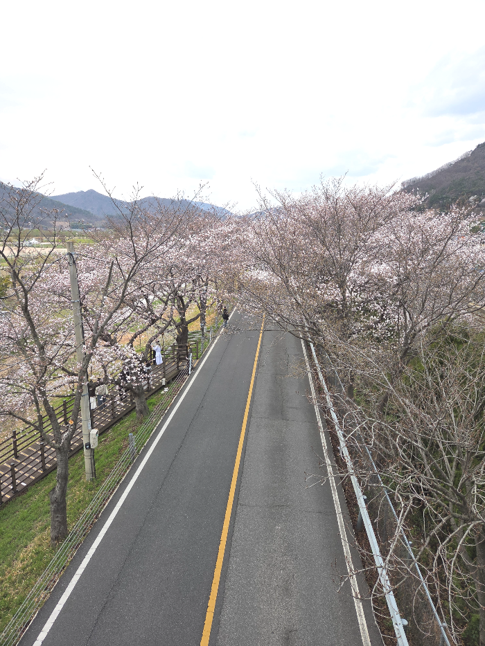 황산공원