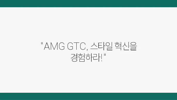 AMG GTC 랩핑을 통한 경제적 효과!