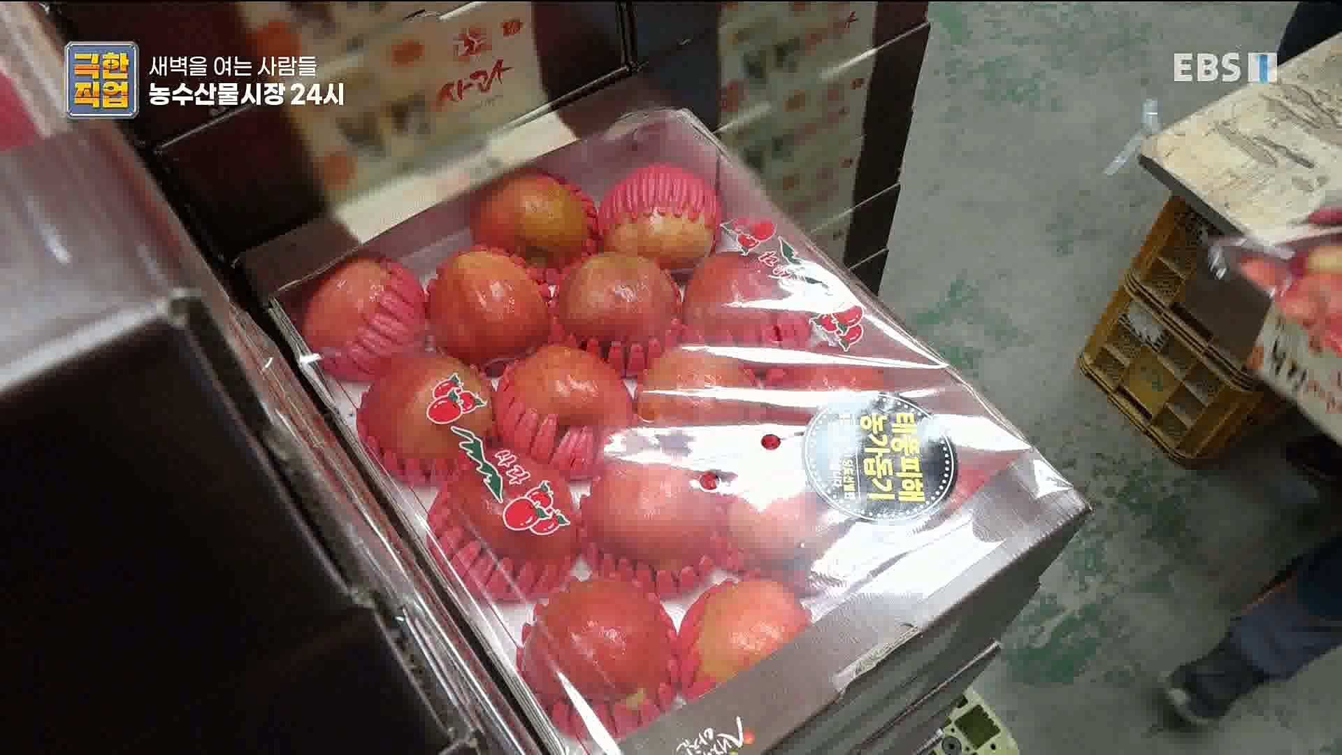 농수산물 시장 24시.mp4_20221020_161729.695.jpg