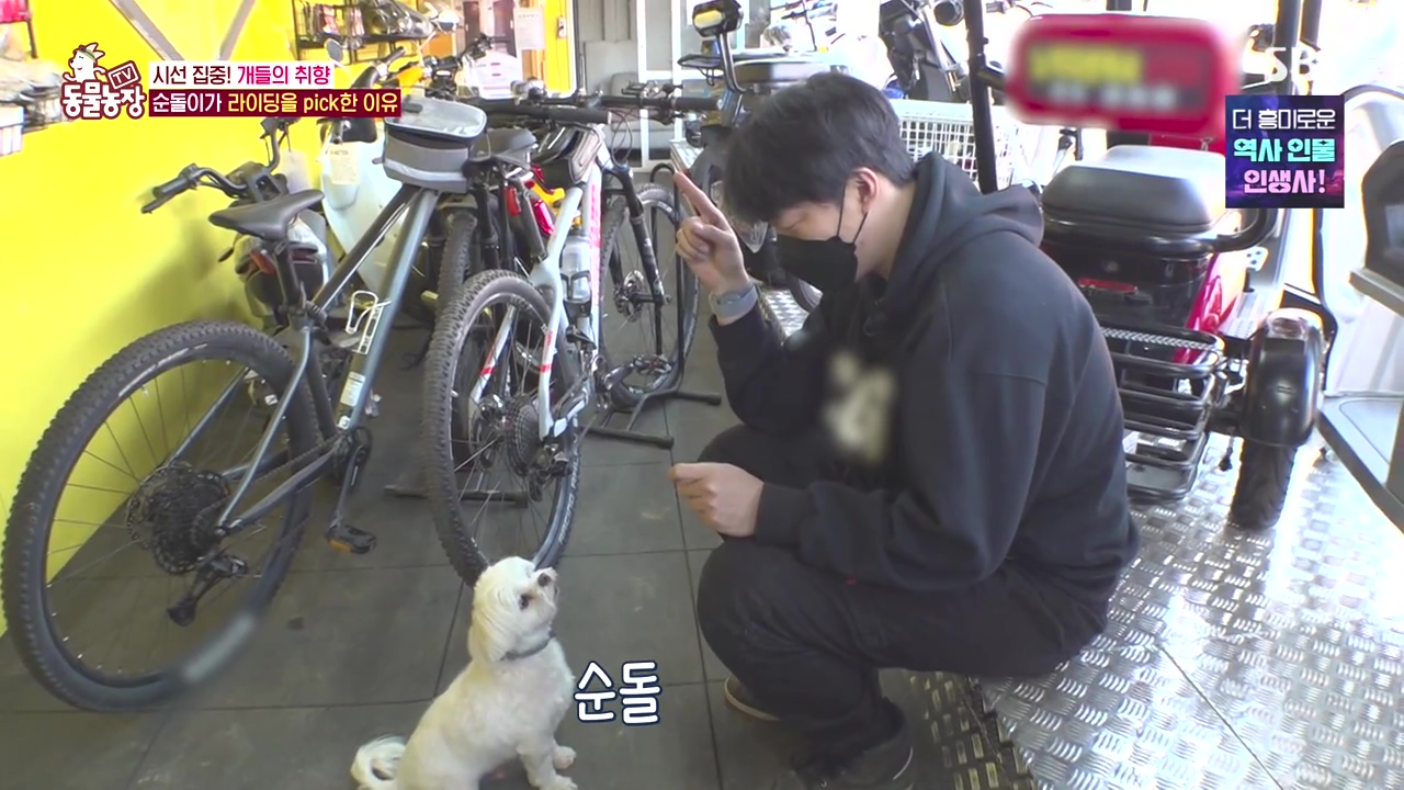 TV 동물농장.E1152.231232p-NEXT.mp4_20231231_165736.127.jpg