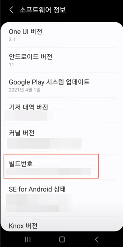 빌드번호 메뉴