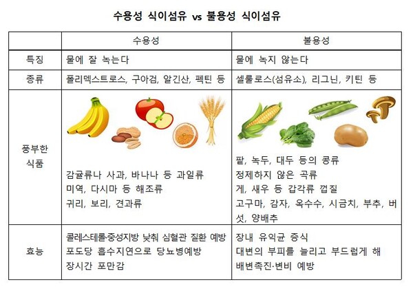 식이섬유