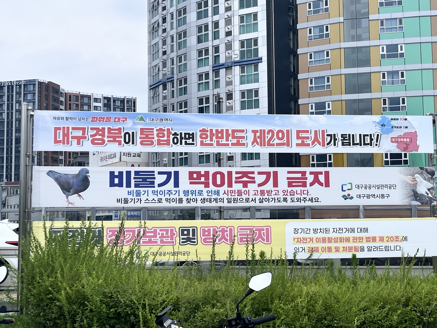 대구 경북 통합 현수막 3